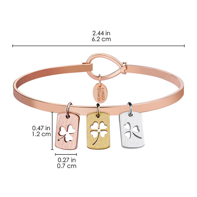 BN1868RG3IR1-BR_サイズ